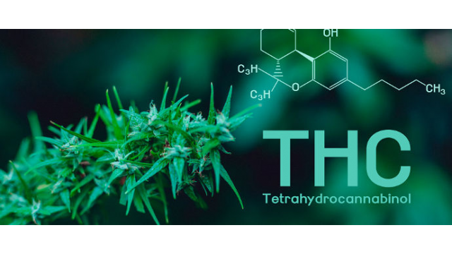 THC en la marihuana - Guía 2021 y Variedades